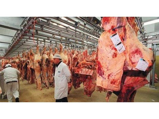 Estimamos que el aumento de la carne puede llegar a ser del 5% para el consumidor, sostuvo Urcia