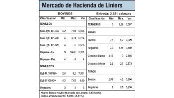 Pérdidas de entre 5% y 10% en Liniers