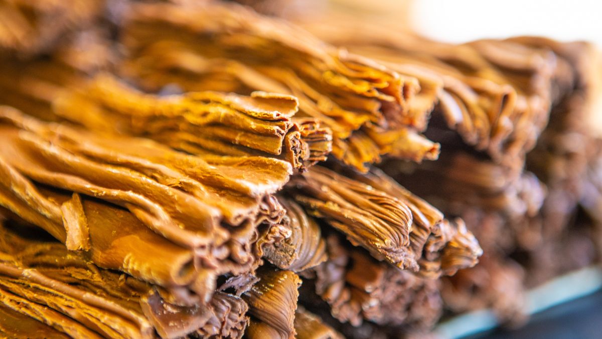 Chocolate and Alfajor Festival: the event for lovers of sweets arrives, when and where?