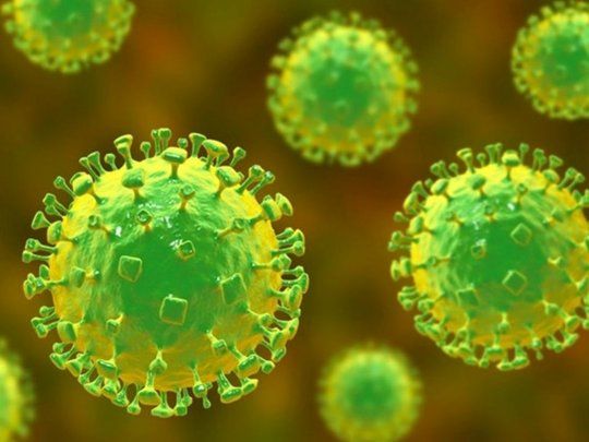 El virus Nipah se detectó por primera vez en Malasia.&nbsp;