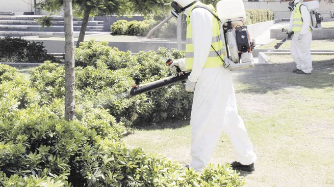 Eliminación. El mosquito Aedes aegypti se reproduce en cualquier recipiente natural o artificial que contenga agua, por lo que es muy importante vaciarlos tanto si están dentro como fuera de la casa.