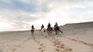 Horseback riding on the coast of Roche is part of the adventure tourism offer that Uruguay offers. Horseback riding on the coast of Roche is part of the adventure tourism offer that Uruguay offers.