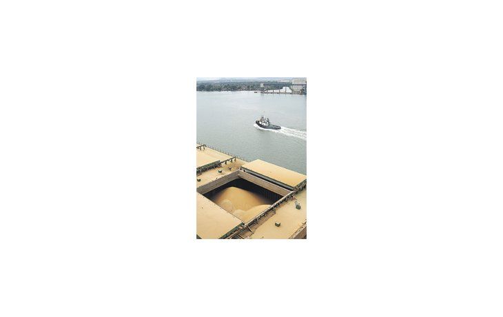 El total comprado por exportadoras e industria al 30 de abril alcanzalos 30,8 millones de toneladas, frente a 43,3 millones registradosen similar lapso del año anterior.