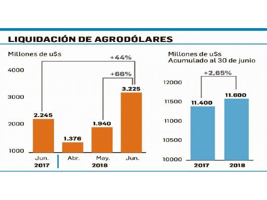 Cerealeras liquidaron u$s3.225 M en junio; el mayor valor del año
