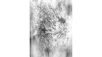 ámbito.com | La muestra de Catalina Chervin puede visitarse hasta el 7de mayo en la galería Maman.
