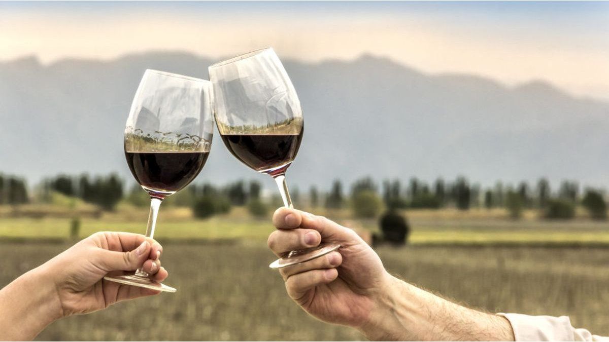 The Night of the Wine Bars: when and where to celebrate malbec and Argentine wine