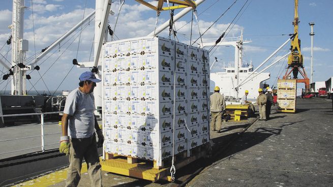 freno. Las dificultades logísticas llevaron a que no pudieran concretarse las exportaciones a Rusia, ya que los cuatro embarques con 700 contenedores no lograron llegar a destino.