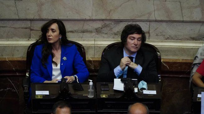 victoria-villarruel-javier-milei-diputadosjpg
