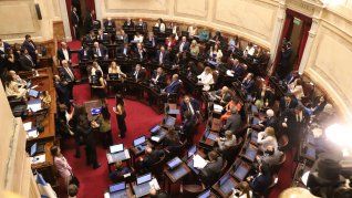 El Senado analiza el DNU de Javier Milei.