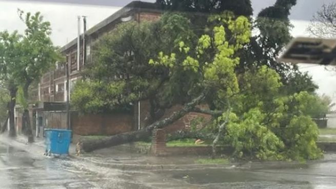 Las localidades de San Félix y Porvenir en Paysandú fueron de las más golpeadas por el fenómeno meteorológico.