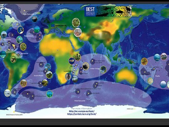 Áreas Protegidas mapa mundial.jpg
