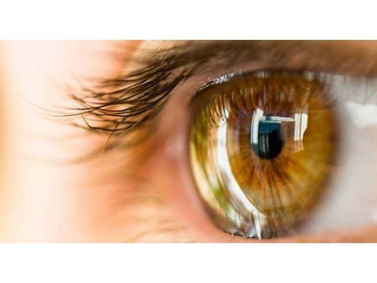 España: planean fabricar córneas con material biológico