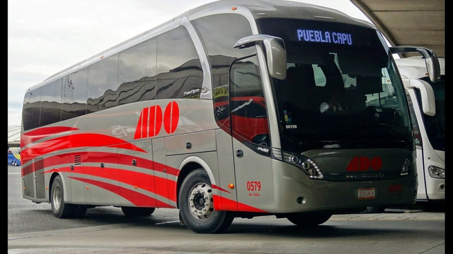 Construyó su fortuna detrás del volante y hoy es uno de los 100 empresarios más poderosos de México.