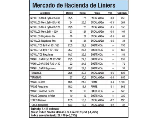 Mercado de Liniers: novillo cayó 1,76%