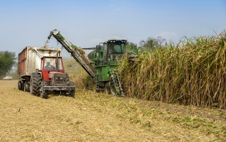 Desde UNINOA sostienen que las medidas de asistencia crediticia y de financiamiento instrumentadas por Naci&oacute;n &ldquo;apenas alcanzaron a un 5% de las industrias radicadas en el NOA y NEA&rdquo;.