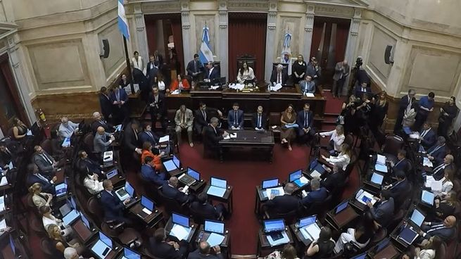 La administración Milei respaldó la reforma y aseguró que el eje de la iniciativa es fortalecer el orden público y la protección de las víctimas.