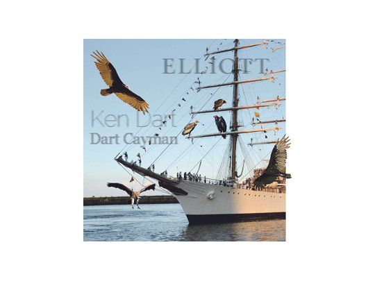 LOS EXCÉNTRICOS SEÑORES BUITRES