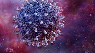 Stratus y Nimbus duplican los casos: Las nuevas variantes de Covid generan un aumento de contagios e internaciones en EEUU y Reino Unido.