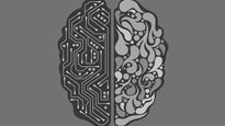 hallan un estimulo supranormal que transforma los comportamientos humanos