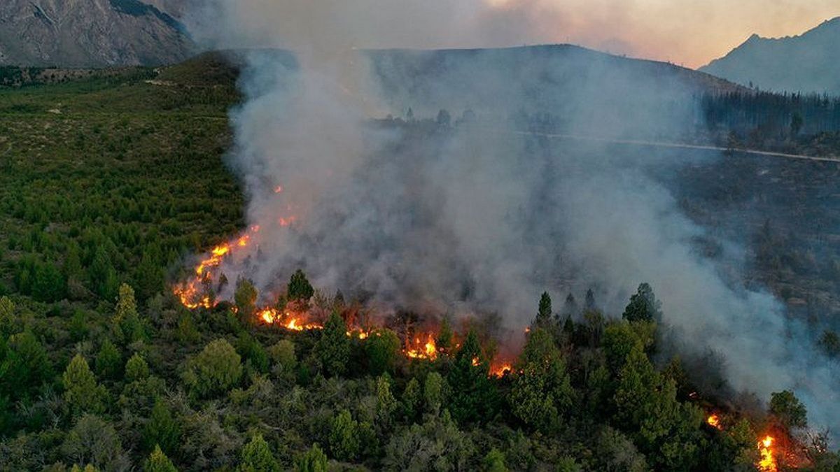 Resultado de imagen para Incendios el bolson