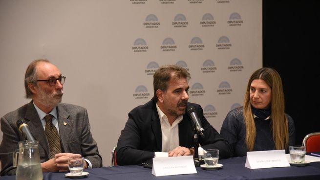 Ficha Limpia Diputados (2).jpeg