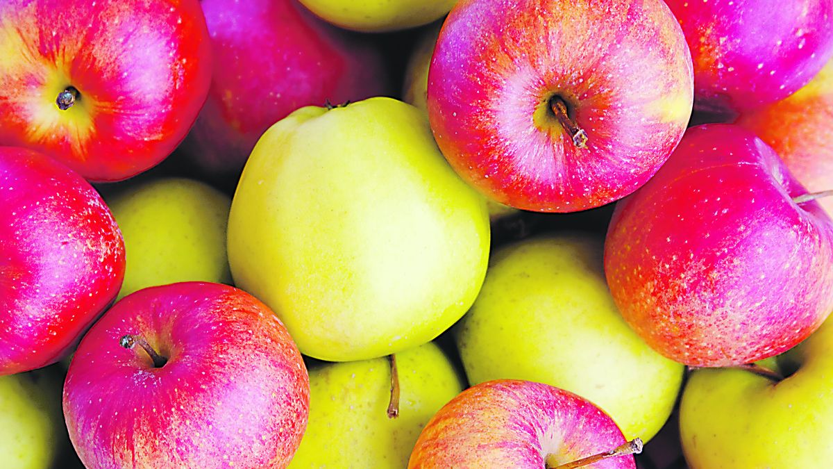 Eating apples could help control blood pressure, according to experts