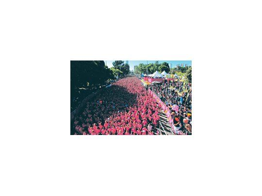 Palermo rosa