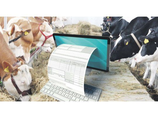 Hacienda, carnes y la factura electrónica