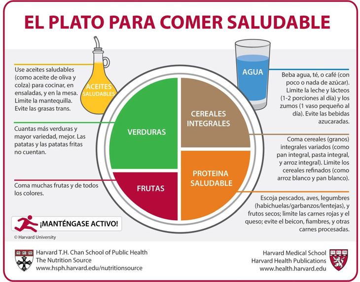 Plato para Comer Saludable.