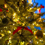 Nueva tendencia en las vísperas de Navidad Nueva tendencia en las vísperas de Navidad