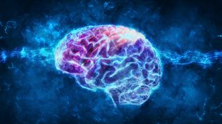 cuanto tarda el cerebro en planificar una accion antes de emitir un impulso electrico