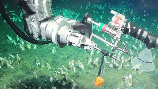 La expedición anterior del CONICET fue un éxito rotundo y alcanzó más de 70.000 espectadores simultáneos. La expedición anterior del CONICET fue un éxito rotundo y alcanzó más de 70.000 espectadores simultáneos.