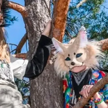 Los therian: la nueva subcultura juvenil, que es furor en redes scoiales y que genera dudas sobre su identificación. Los therian: la nueva subcultura juvenil, que es furor en redes scoiales y que genera dudas sobre su identificación.