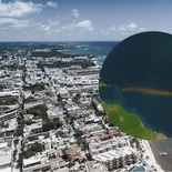 Qué es esa franja marrón en el Océano Atlántico. Qué es esa franja marrón en el Océano Atlántico.