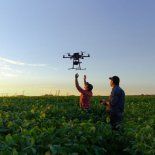agricultura regenerativa: por que el futuro de los alimentos empieza en el suelo agricultura regenerativa: por que el futuro de los alimentos empieza en el suelo