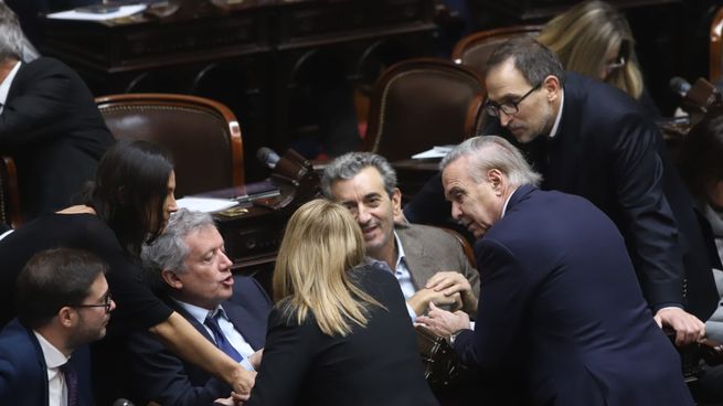 Bloques federales de diputados.