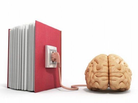 cerebro lectura.jpg