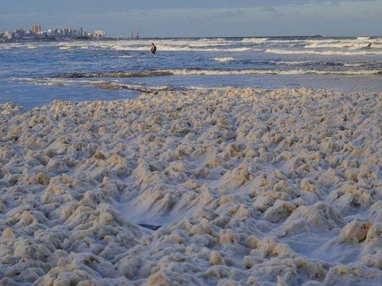 En algunos playas la espuma alcanzó los 50 centímetros de espesor.