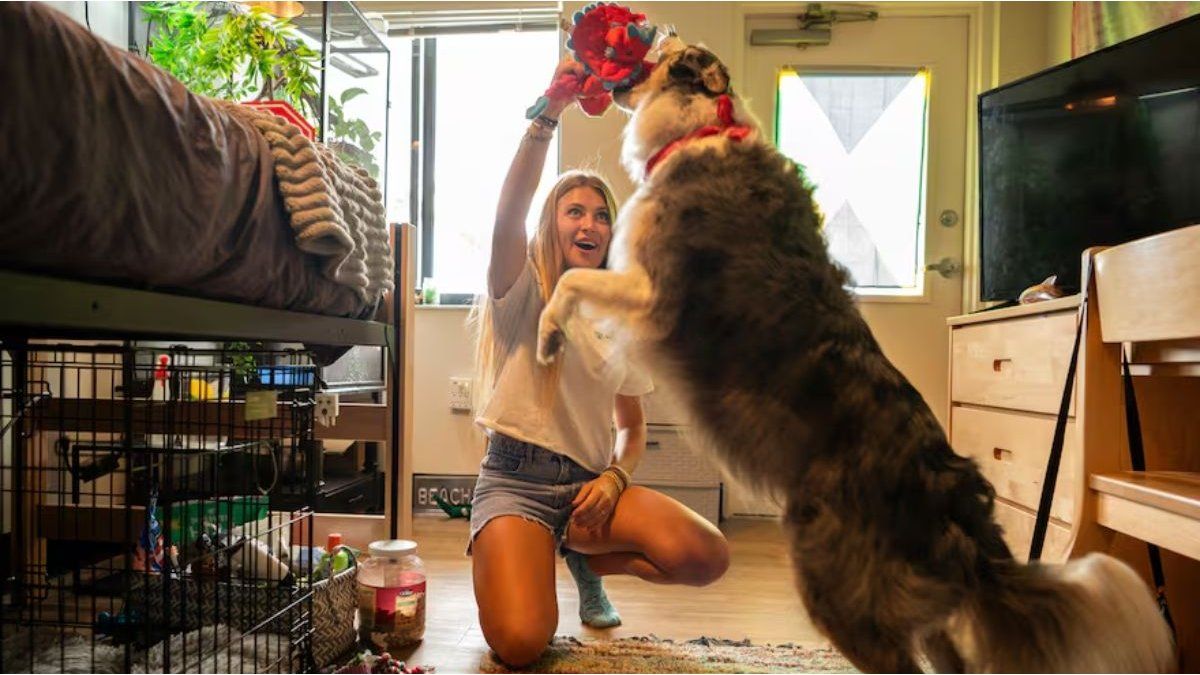 US universities allow pets in student bedrooms to give emotional support