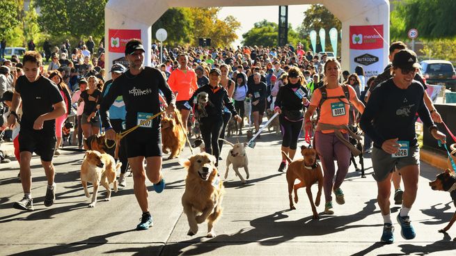 maraton de mascotas (2).jpg