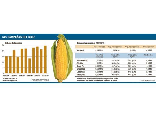 Lluvias en EE.UU. definen al maíz local