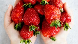 El truco para conservar las frutillas en la heladera sin que se echen a perder. El truco para conservar las frutillas en la heladera sin que se echen a perder.