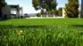 With this bathroom product you can maintain the grass in your home garden. With this bathroom product you can maintain the grass in your home garden.