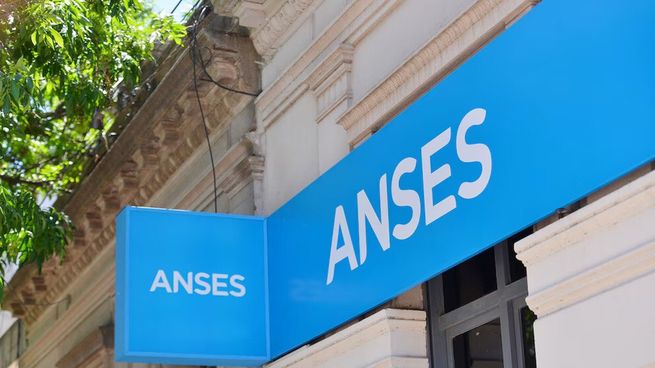 Además de la asignación por hijo, el SUAF contempla otras ayudas económicas para las familias que cumplen los requisitos de ANSES.