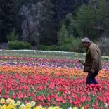 El turismo y una alternativa única en Bariloche, que ofrece un paisaje que enamora a todos sus visitantes. El turismo y una alternativa única en Bariloche, que ofrece un paisaje que enamora a todos sus visitantes.