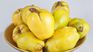 Membrillos have especially beneficial nourishments for the digestive system. Membrillos have especially beneficial nourishments for the digestive system.