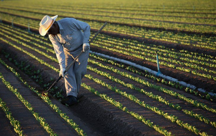 Federación Agraria celebró el comienzo del pago de las compensaciones a pequeños productores.