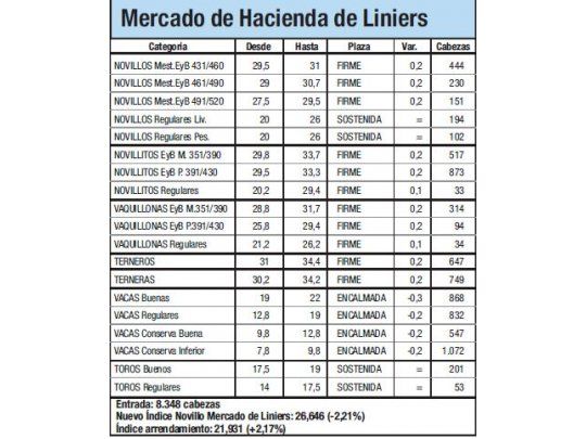 Índice Novillo cayó un 2,2% en Liniers