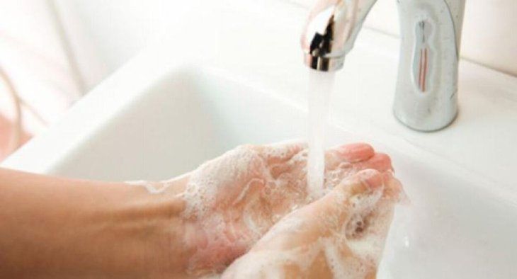 Ambas compañías no contaban con registro sanitario ni con la habilitación necesaria.