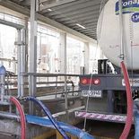 El paro en Conaprole generó faltantes en todo el país y una caída del 30% en las ventas. El paro en Conaprole generó faltantes en todo el país y una caída del 30% en las ventas.